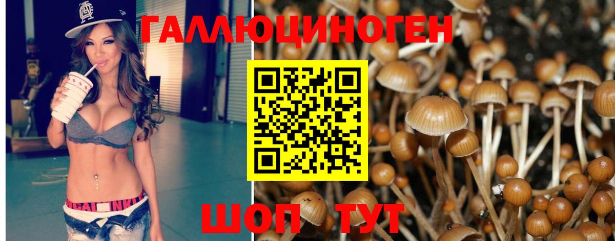 Алатырь  Галлюциногенные грибы Cubensis  Вход с VPN 
